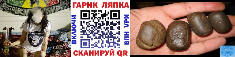 где купить Рошаль ГАШ гарик
