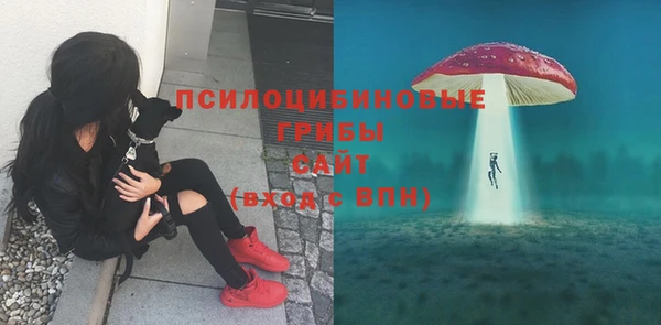 дживик Няндома