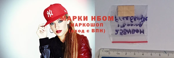 СК Алексин
