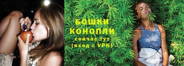 бошки Аркадак