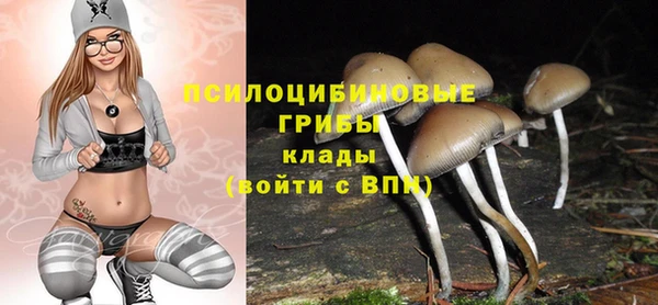 кокс Алзамай